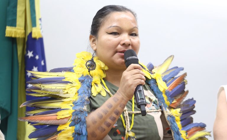 liderancas-indigenas-cobram-na-camara-criacao-de-comissao-nacional-indigena-da-verdade