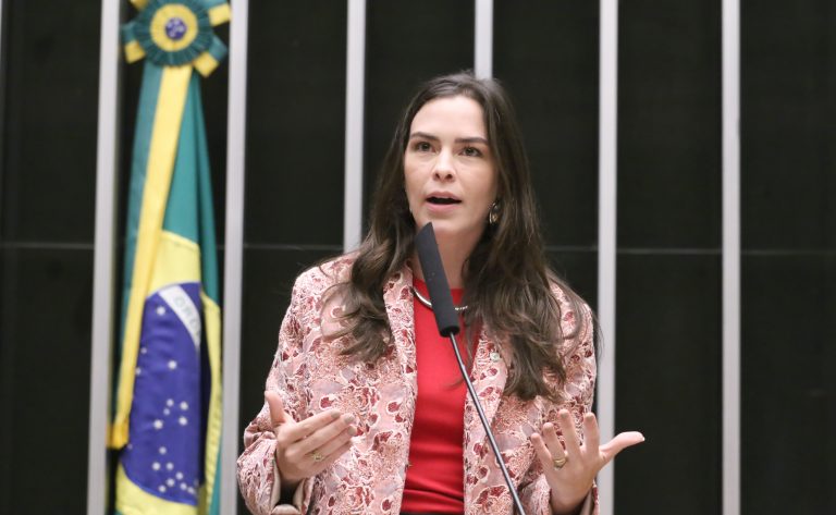 comissao-aprova-projeto-que-impede-uso-do-principio-da-insignificancia-em-crimes-contra-mulher