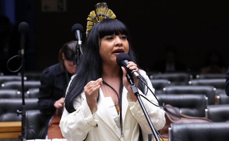 comissao-aprova-garantia-de-direitos-e-protecao-a-indigenas-lgbtia+-no-brasil