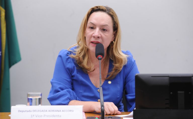 comissao-aprova-ampliacao-gradual-de-delegacias-especializadas-de-atendimento-a-mulher